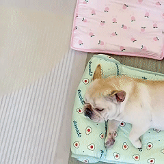 Pet Cooling Ice Mat Dog Cat Summer Cooling Mat Cat Bed Dog Bed Pad Blanket Sofa Washable Cushion Ice Silk Carpet