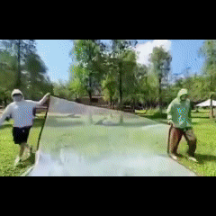 Transparent PE Tarpaulin Waterproof Seamless Durable Thickened Cover Garden Balcony Car Tent Shelter