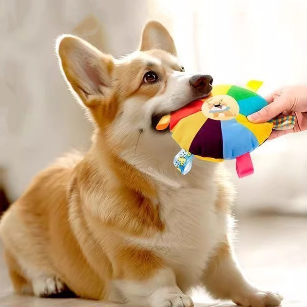 🐶 Pet Supplie